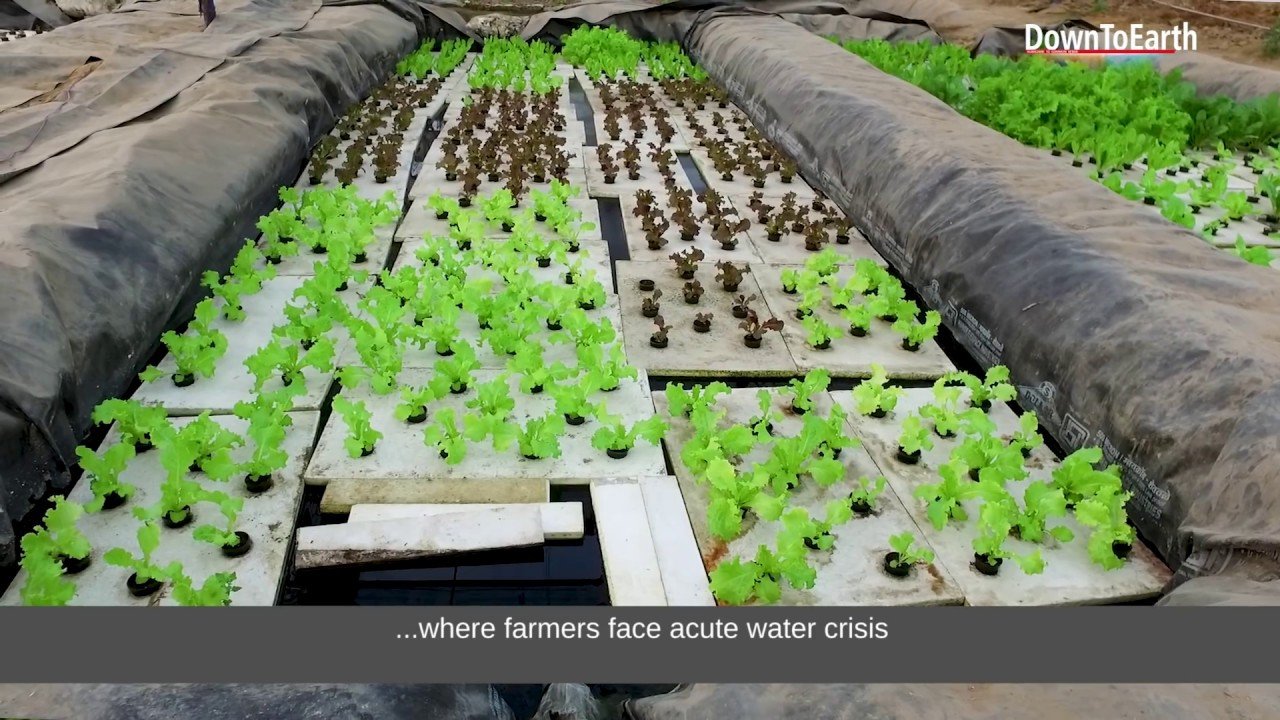 Create Your Own DIY Aquaponics System in Fayetteville